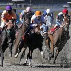 Horse Tracks Concerned Over Move To Cut Subsidies