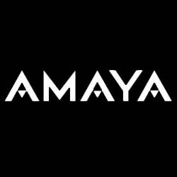 Amaya Posts Record Revenues in 2016