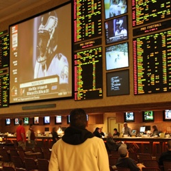 US Sports Betting Ban Should Be Overturned